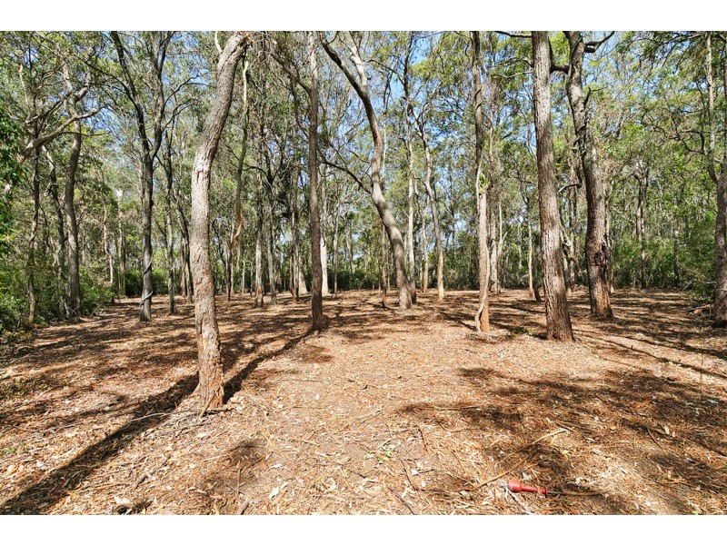 90 Remington Street, Chandler QLD 4155