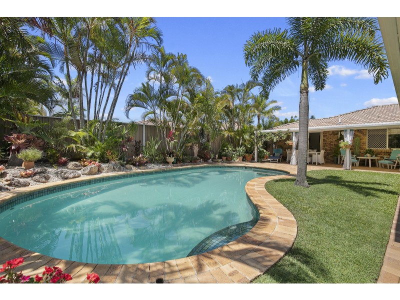 17 Trochus Court, Thornlands QLD 4164
