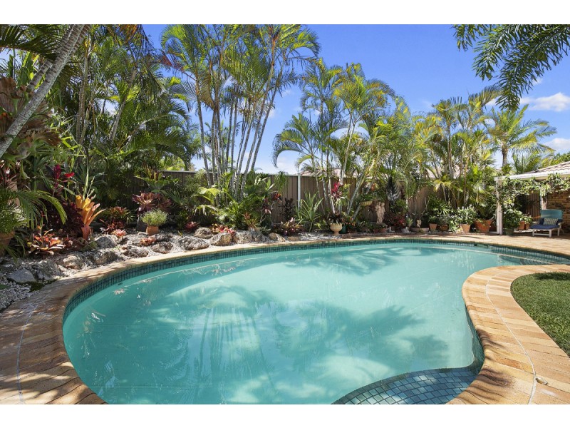 17 Trochus Court, Thornlands QLD 4164