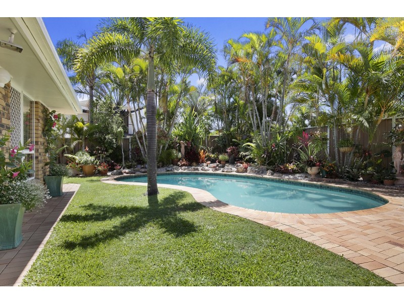 17 Trochus Court, Thornlands QLD 4164