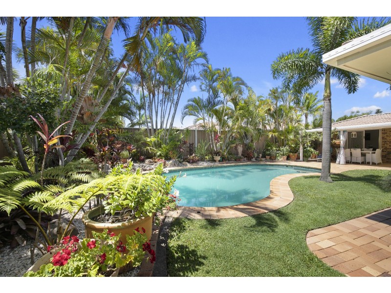 17 Trochus Court, Thornlands QLD 4164
