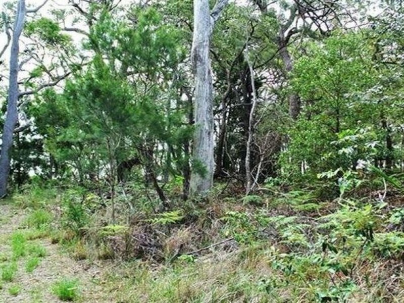 11 Coast Road, Macleay Island QLD 4184