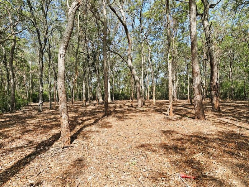 84 Remington Street, Chandler QLD 4155