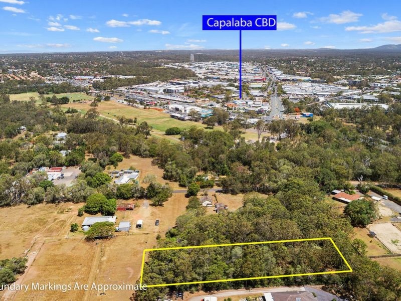 84 Remington Street, Chandler QLD 4155