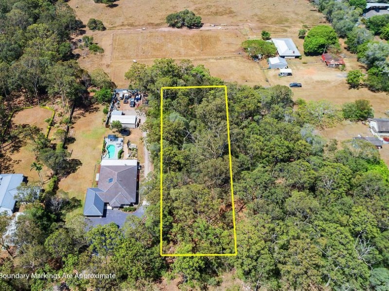 84 Remington Street, Chandler QLD 4155