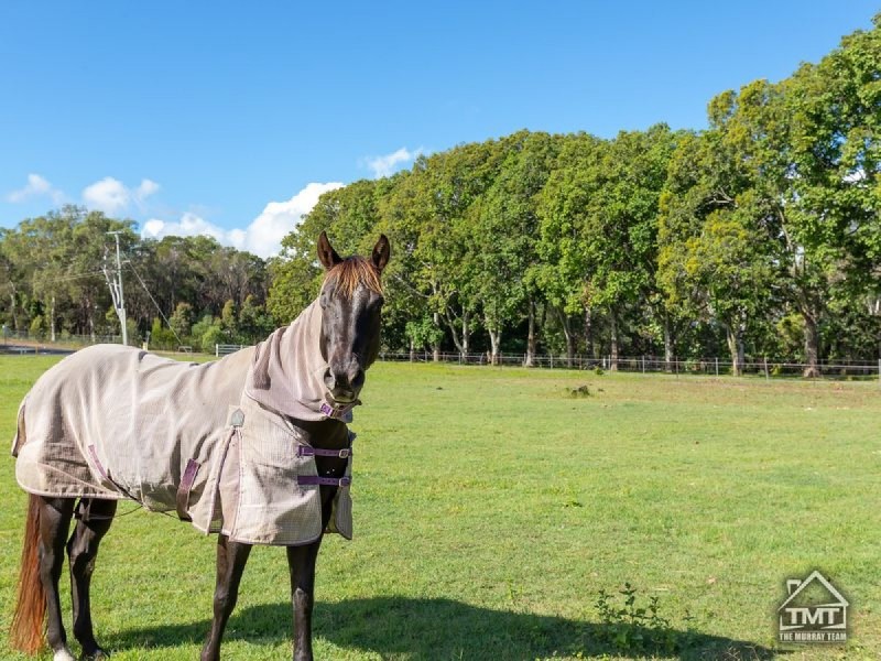 98 Kingfisher Road, Mount Cotton QLD 4165