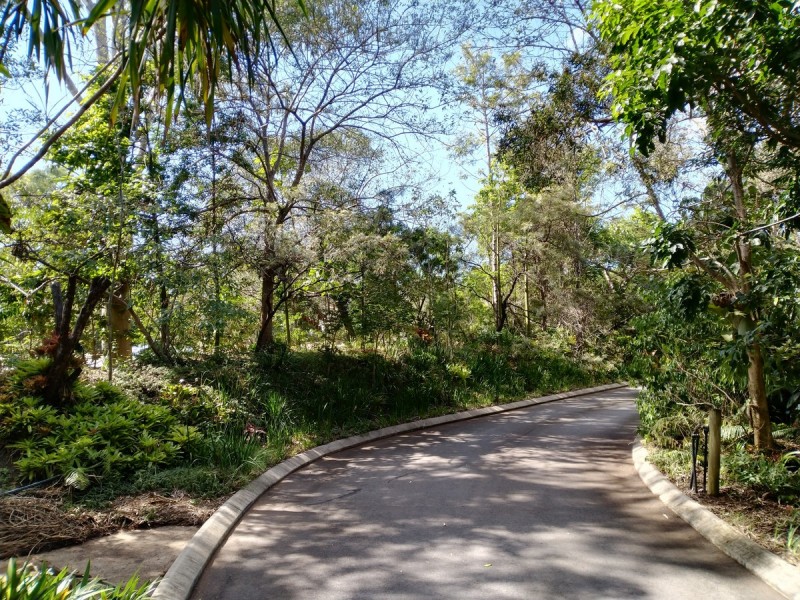 2 Dinwoodie Road, Thornlands QLD 4164