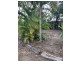 61 Valantine Road, Birkdale QLD 4159