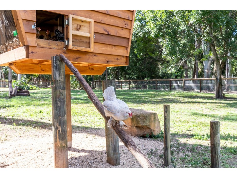 5-9 Mango Place, Thornlands QLD 4164