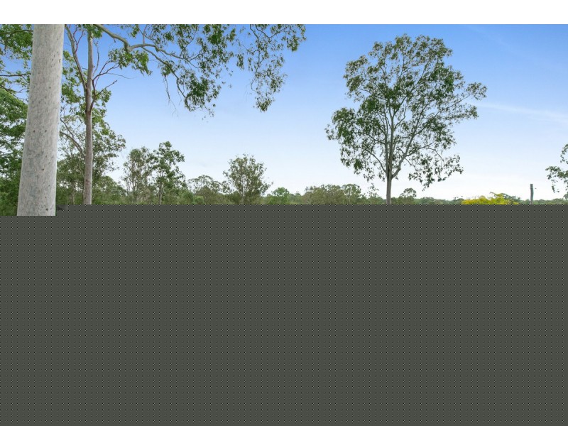 193-209 Leopardwood Road, Cedar Grove QLD 4285