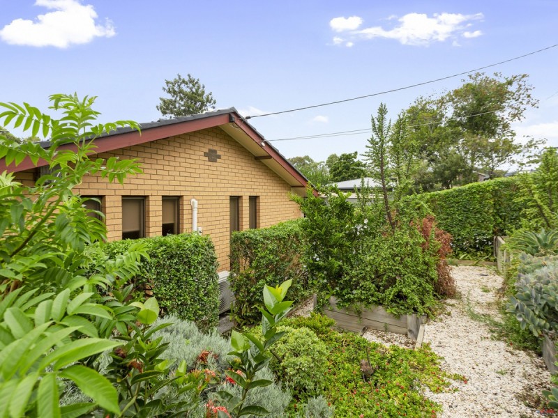 41 Spoonbill Street, Birkdale QLD 4159