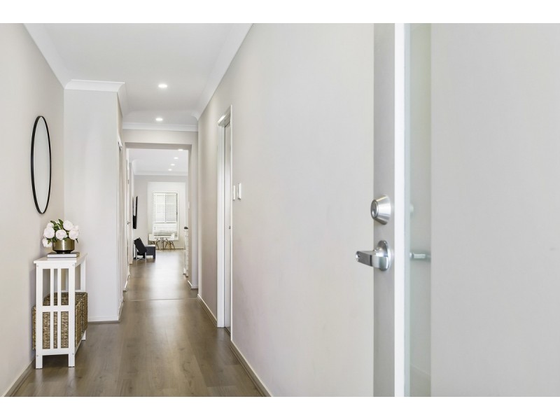 18 McPherson Street, Thornlands QLD 4164