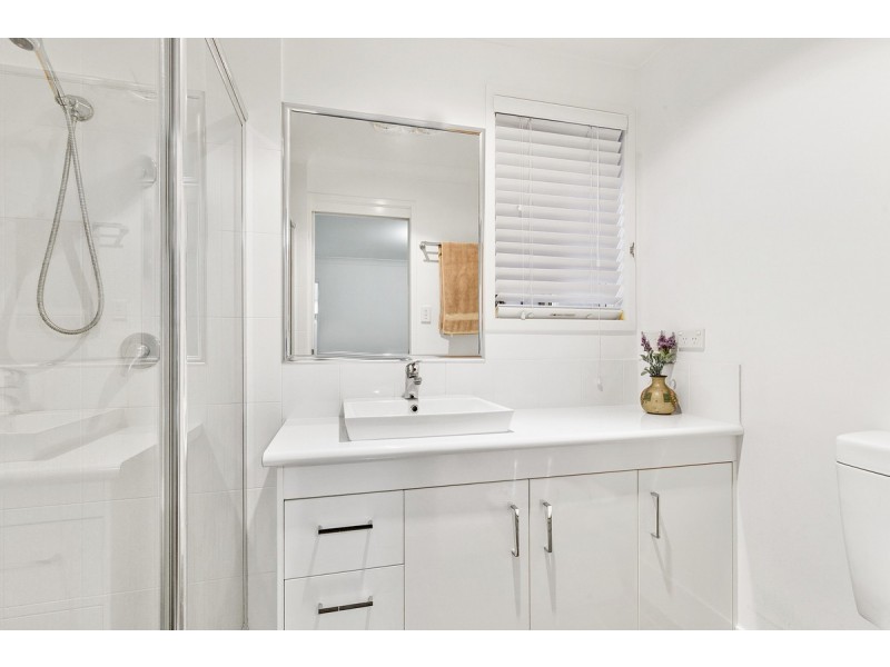 18 Pandanus Street, Birkdale QLD 4159