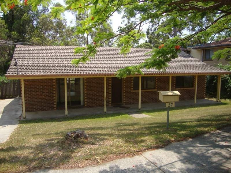 57 Spoonbill Street, Birkdale QLD 4159
