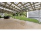 25 Glover Drive, Alexandra Hills QLD 4161