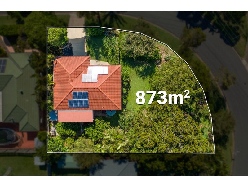 19 Morden Street, Birkdale QLD 4159