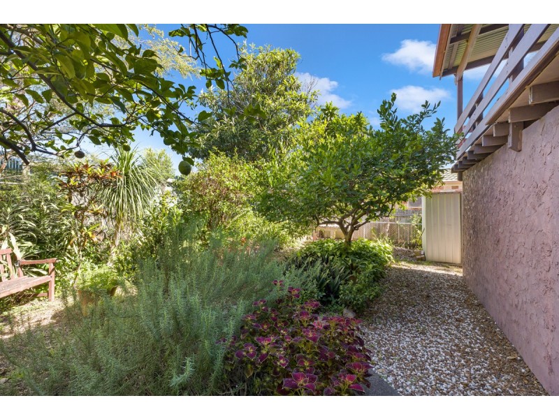 19 Morden Street, Birkdale QLD 4159