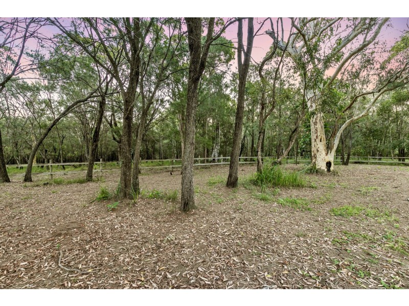 6 The Grove, Thornlands QLD 4164