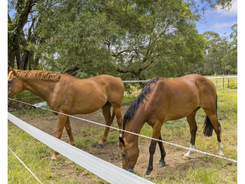 175 Sunnydene Road, Chandler QLD 4155