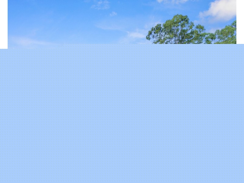 24 Adam Street, Cleveland QLD 4163