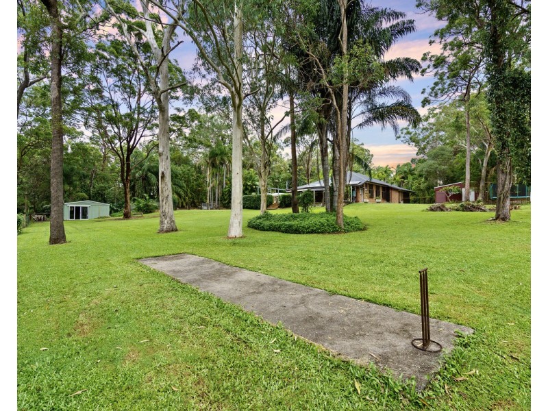 3 Firtree Street, Capalaba QLD 4157
