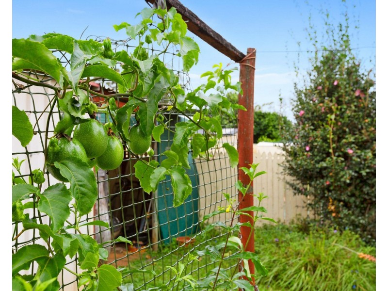 4 Cheshire Street, Victoria Point QLD 4165