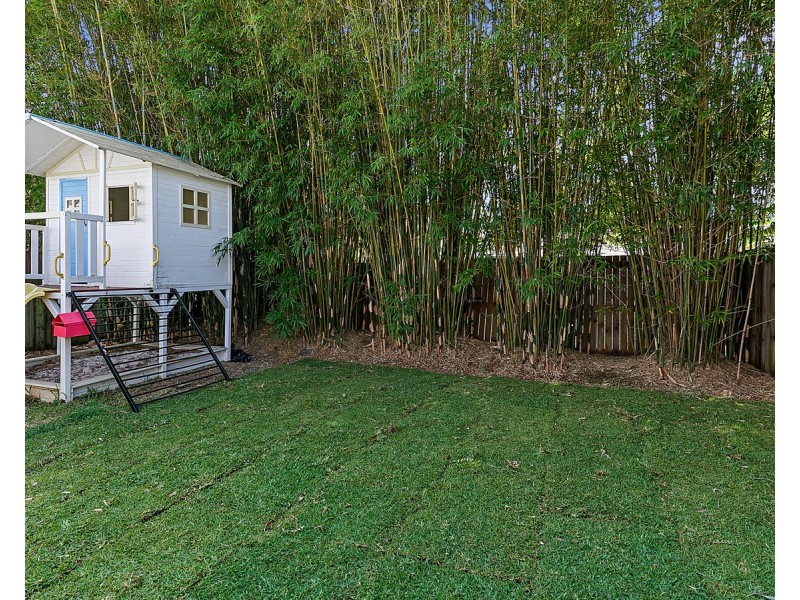 66 Aster Street, Cannon Hill QLD 4170