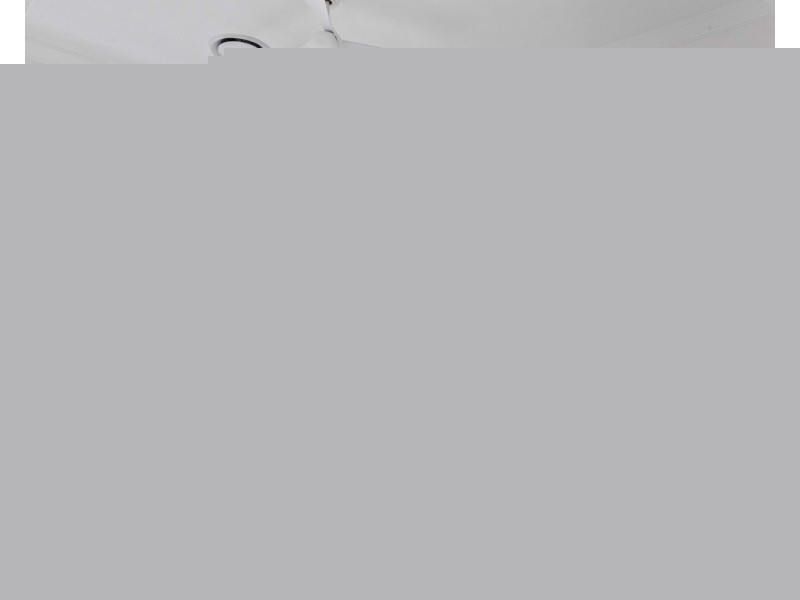 1/11 Elliot Street, Norman Park QLD 4170