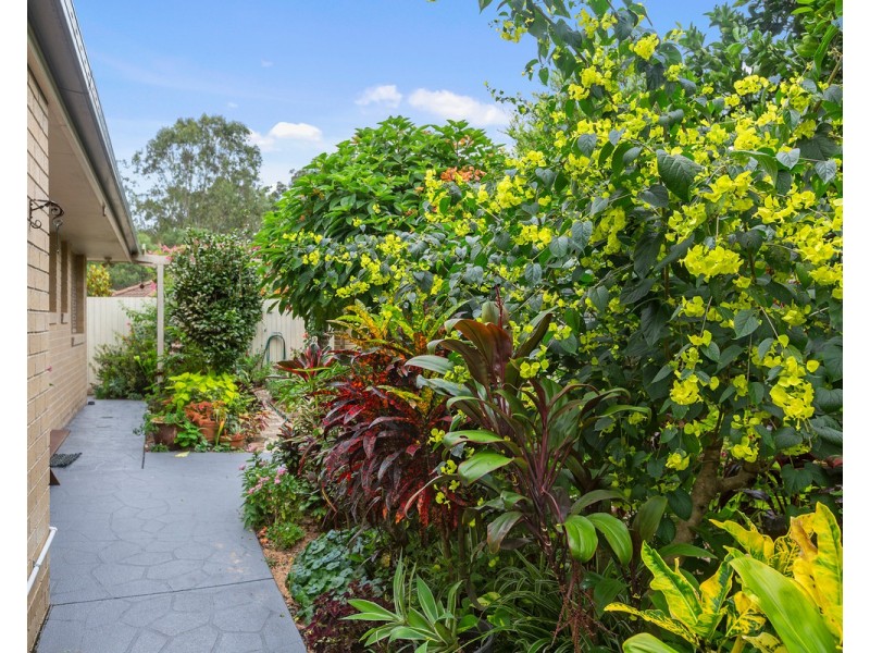 15 Scampi Place, Redland Bay QLD 4165