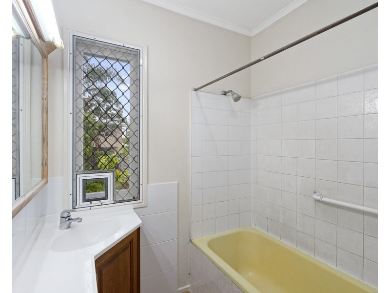 144 Erica Street, Cannon Hill QLD 4170