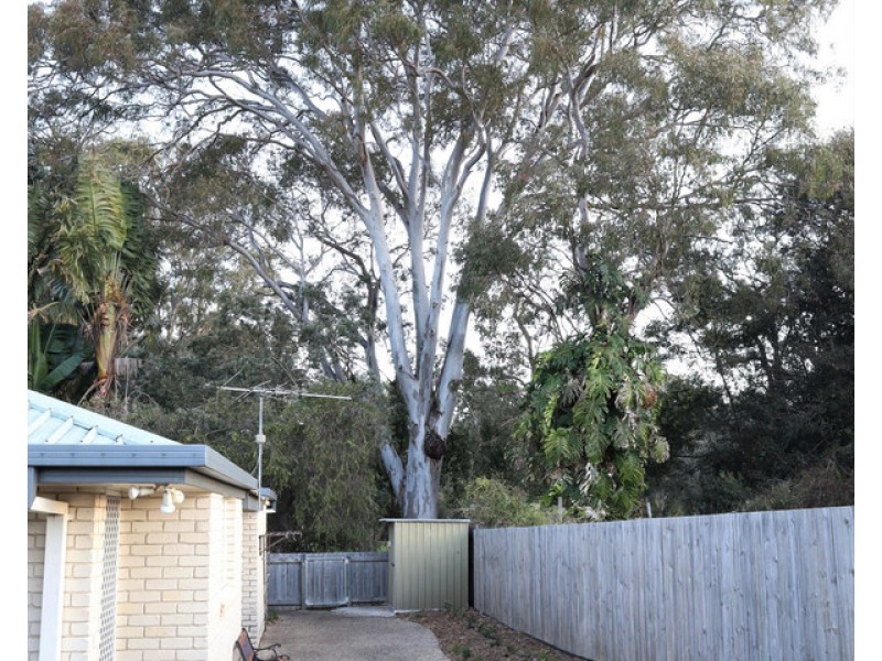 1/55 Wynyard Street, Cleveland QLD 4163