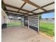 4 Marginalia Street, Cleveland QLD 4163