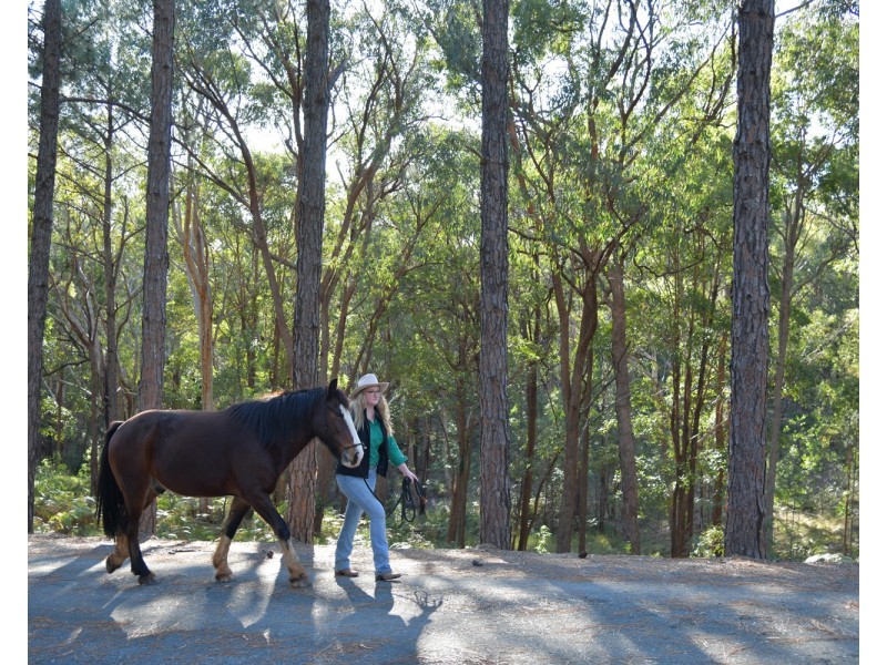 62 Giles Road, Redland Bay QLD 4165
