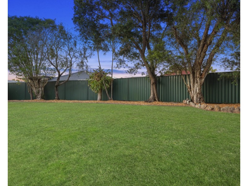 9 Webb Court, Alexandra Hills QLD 4161