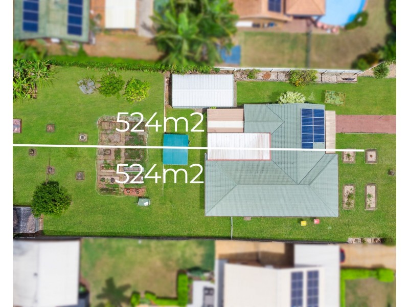 165 Long Street, Cleveland QLD 4163