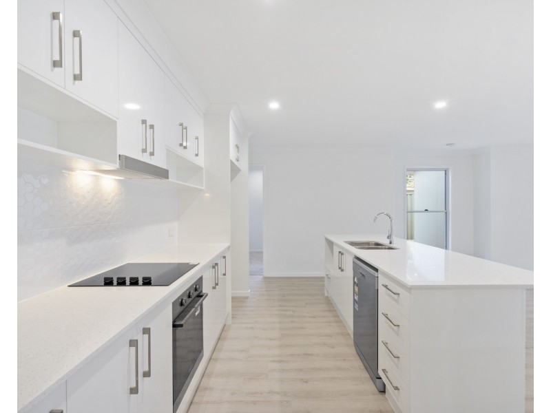 11a Christine Court, Cleveland QLD 4163