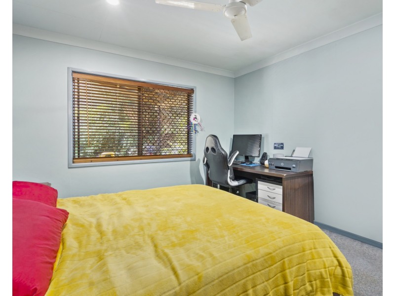 48 Langdon Street, Cleveland QLD 4163