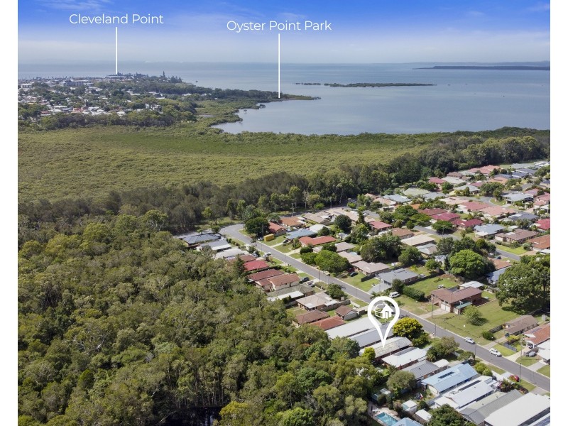 48 Langdon Street, Cleveland QLD 4163