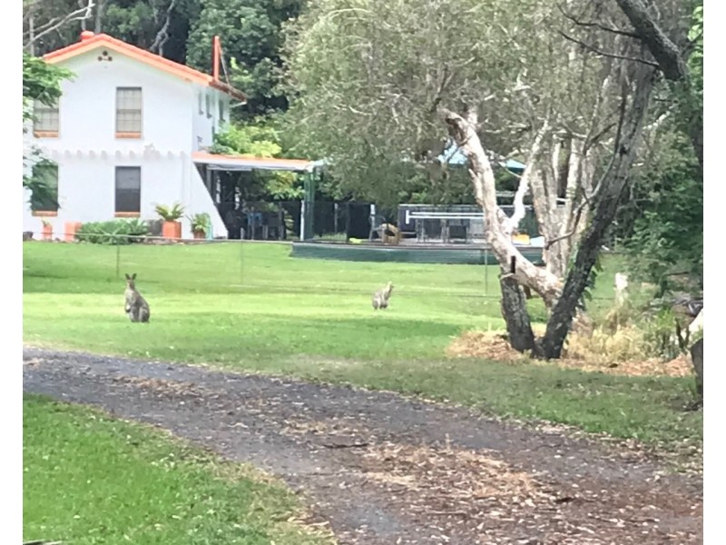 103 McMILLAN ROAD, Alexandra Hills QLD 4161