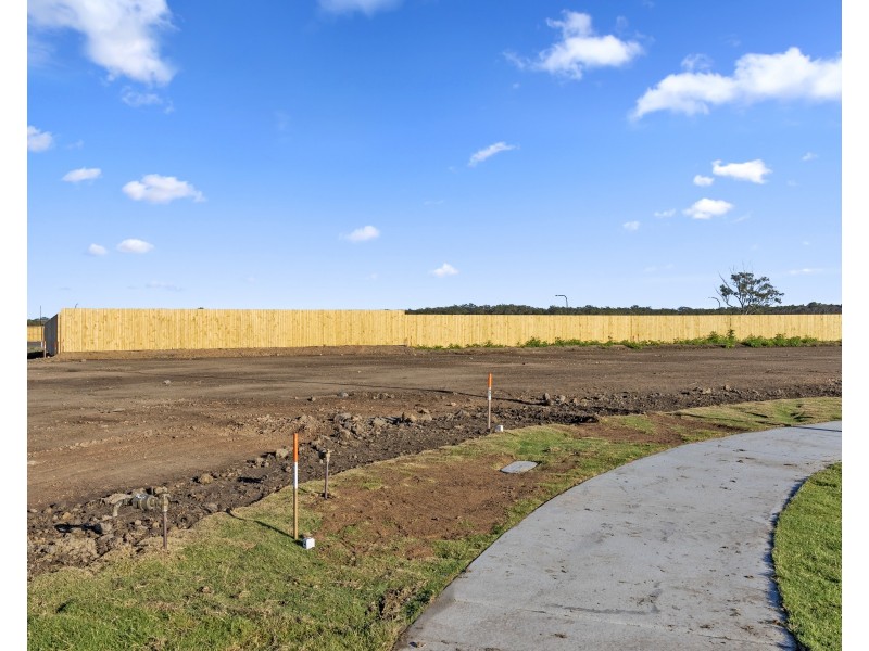 329 Backhousia Court, Redland Bay QLD 4165