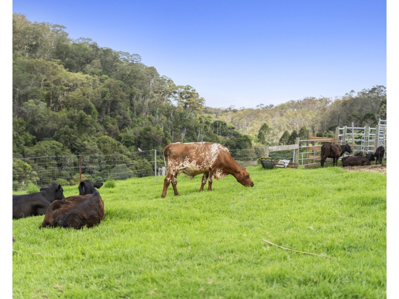 595 West Mount Cotton Road, Mount Cotton QLD 4165