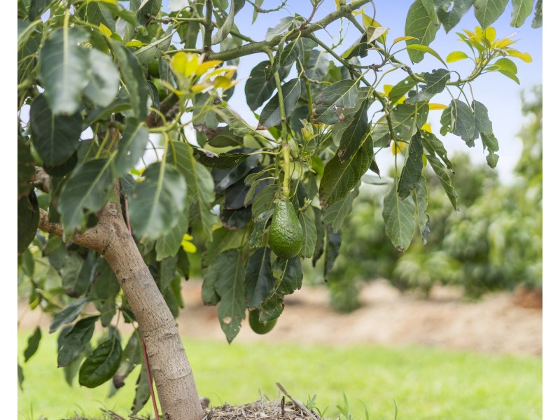 595 West Mount Cotton Road, Mount Cotton QLD 4165