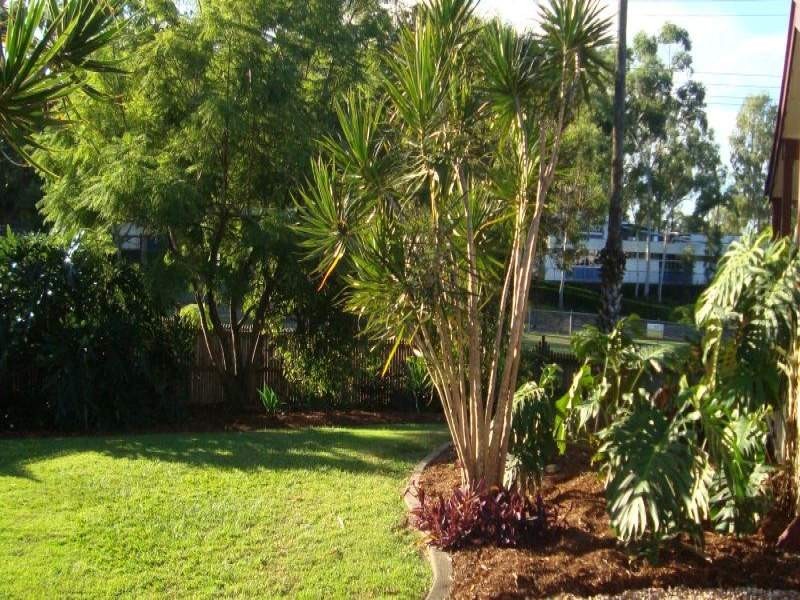 19 Heffernan Drive, Alexandra Hills QLD 4161