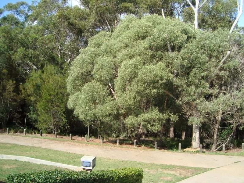 4 Coolum Court, Redland Bay QLD 4165