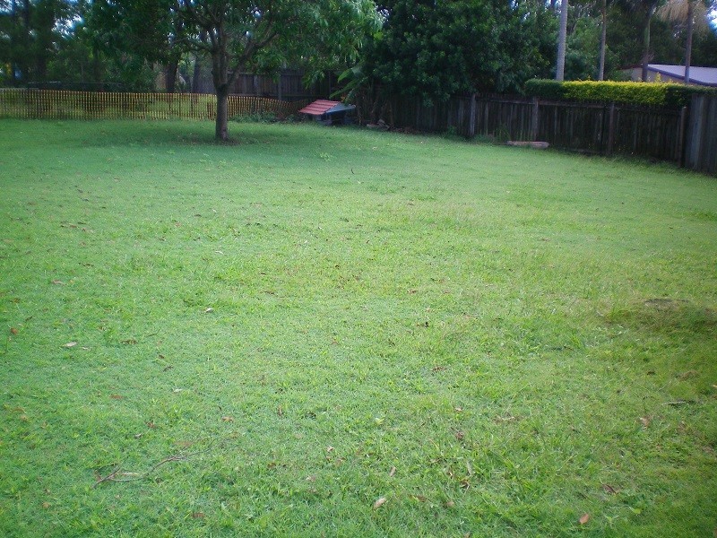 15 Beenwerrin Street, Capalaba QLD 4157