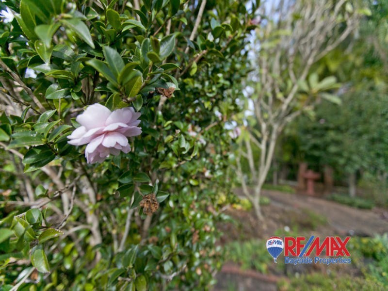 6 Hilliard Street, Ormiston QLD 4160