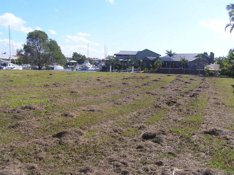 83 Dorsal Drive, Birkdale QLD 4159