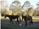 Thornlands QLD 4164