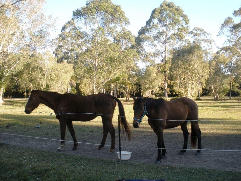 Thornlands QLD 4164