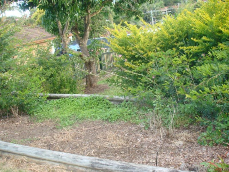 20 Wimborne Rd, Alexandra Hills QLD 4161